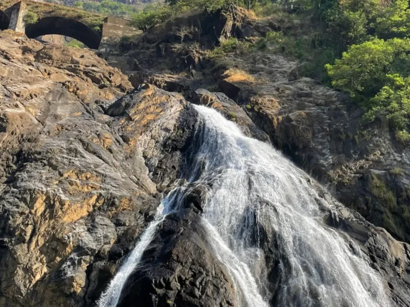 Dudhsagar Waterfalls by Private AC Car