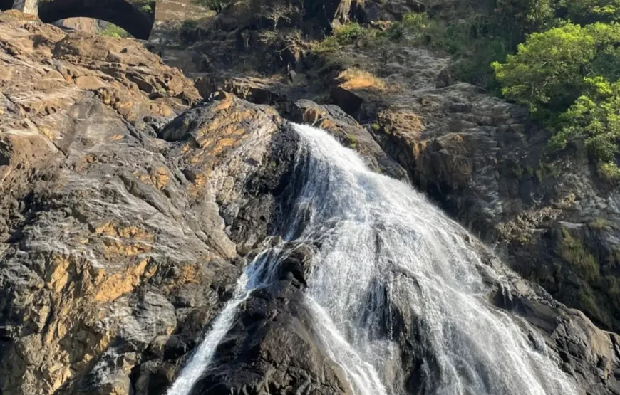 Dudhsagar Waterfalls Trip
