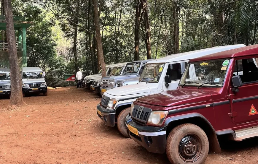 Dudhsagar Waterfalls Trip